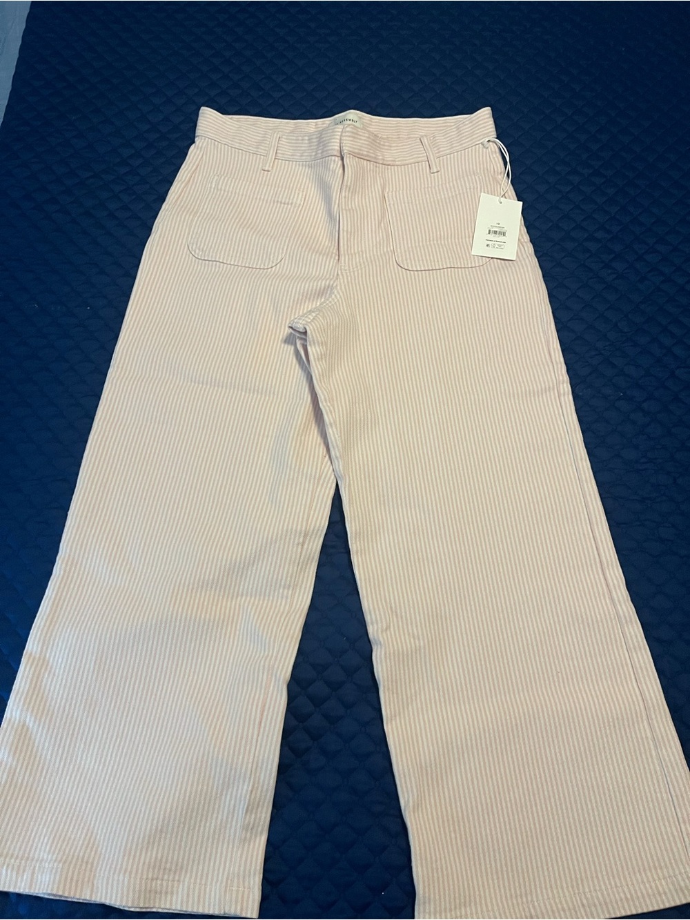 Free Assembly Wide Leg Jean pink pinstriped